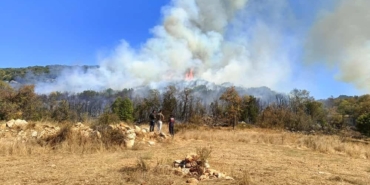 Burdur’da orman yangını