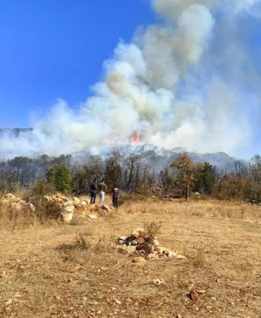 Burdur’da orman yangını