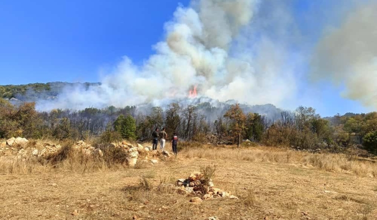 Burdur’da orman yangını