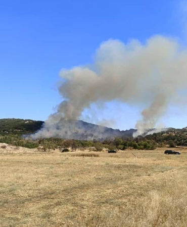 Burdur’da çıkan orman yangını kontrol altında (2)