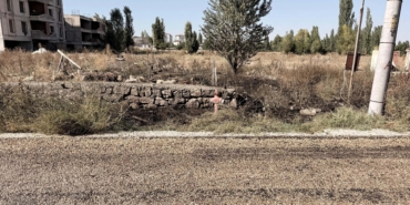 Evinin önündeki ot yangınında yaşamını yitirdi