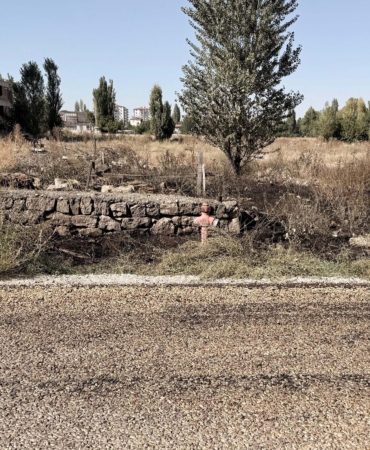 Evinin önündeki ot yangınında yaşamını yitirdi