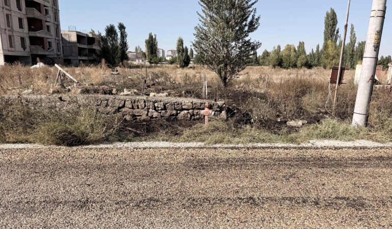 Evinin önündeki ot yangınında yaşamını yitirdi