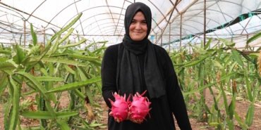 Elde kalan ürünler kurutma tesisinde değer kazanıyor