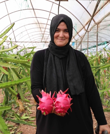Elde kalan ürünler kurutma tesisinde değer kazanıyor