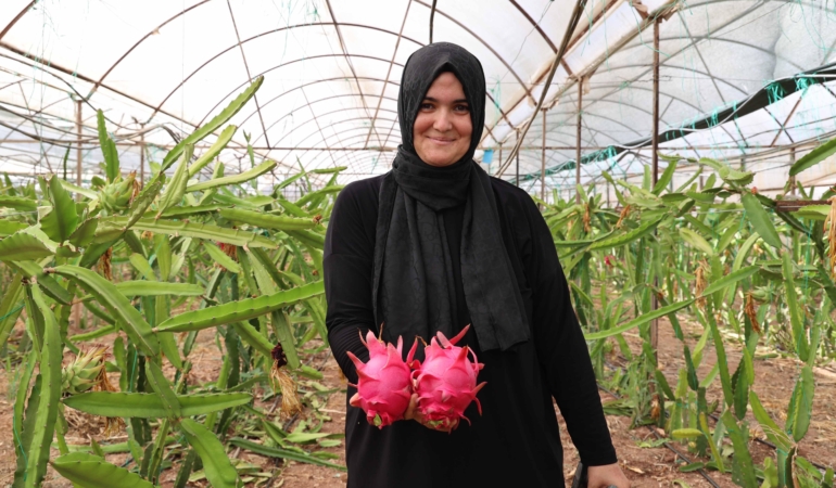 Elde kalan ürünler kurutma tesisinde değer kazanıyor