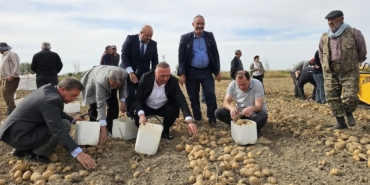 Kaymakam ve belediye başkanı patates topladı