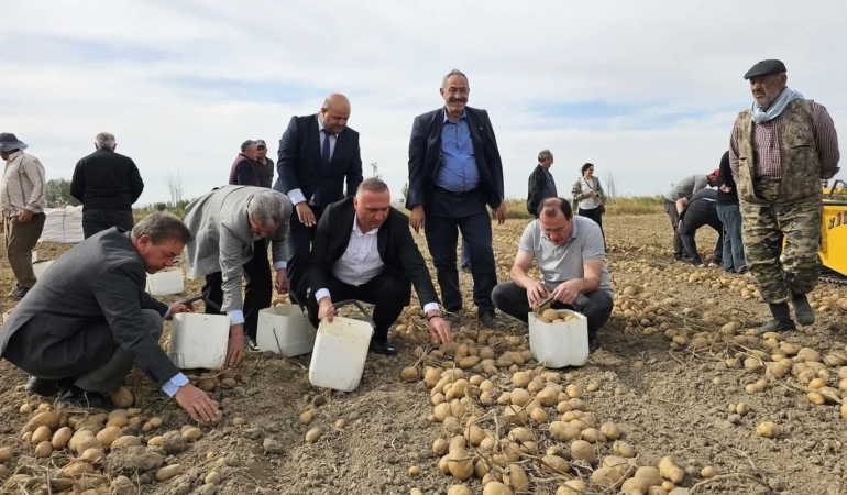 Kaymakam ve belediye başkanı patates topladı