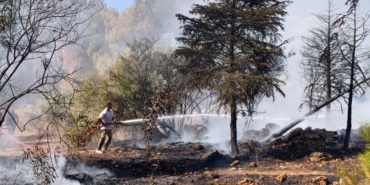 Otluk alanda çıkan yangın söndürüldü