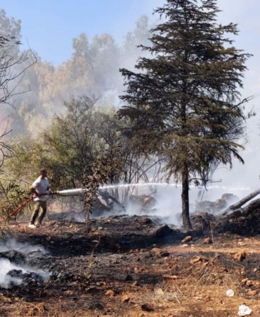 Otluk alanda çıkan yangın söndürüldü