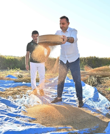 ‘Manavgat susamı yurt dışında da büyük ilgi görüyor’