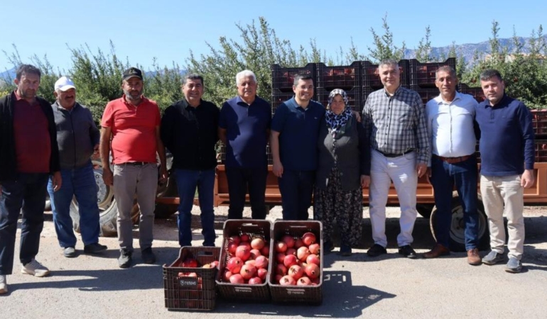 Kaymakam Çakıcı nar hasadına katıldı