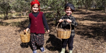 Minikler zeytin hasadında