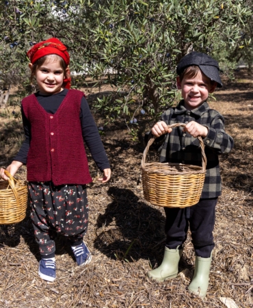 Minikler zeytin hasadında