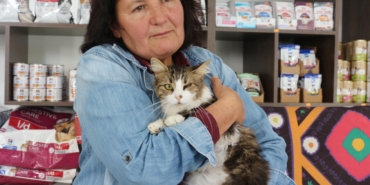 Anemi hastası kedi ‘Nazlı’, donör ‘Casper’ın kanıyla sağlığına kavuştu / Video eklendi