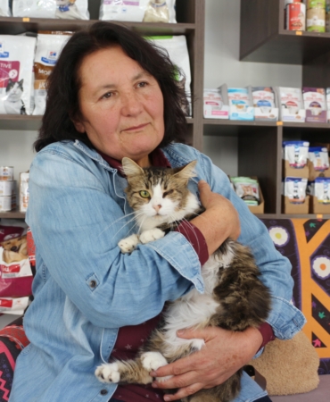 Anemi hastası kedi ‘Nazlı’, donör ‘Casper’ın kanıyla sağlığına kavuştu / Video eklendi