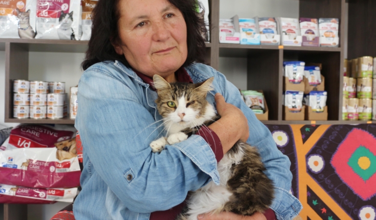 Anemi hastası kedi ‘Nazlı’, donör ‘Casper’ın kanıyla sağlığına kavuştu / Video eklendi