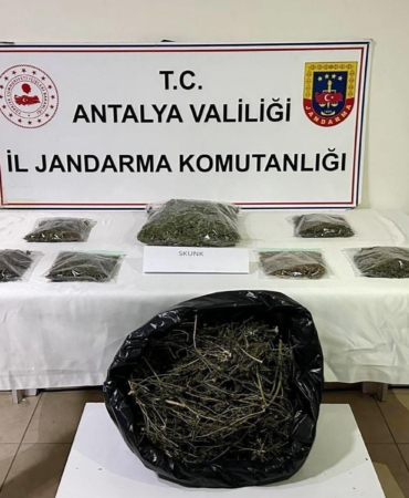 Alanya’da 800 gram esrar ele geçirildi