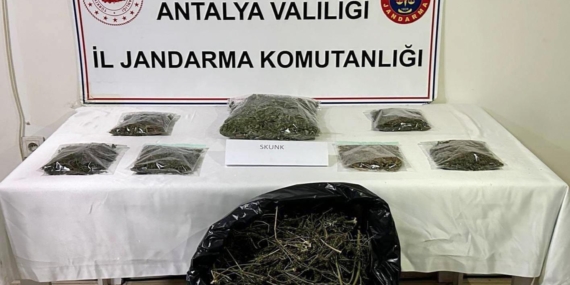 Alanya’da 800 gram esrar ele geçirildi Alanya’da 800 gram esrar ele geçirildi