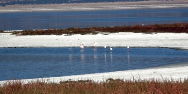 Prof. Dr. Gülle: Bundan sonra bütün göller küçülme trendinde