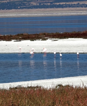 Prof. Dr. Gülle: Bundan sonra bütün göller küçülme trendinde