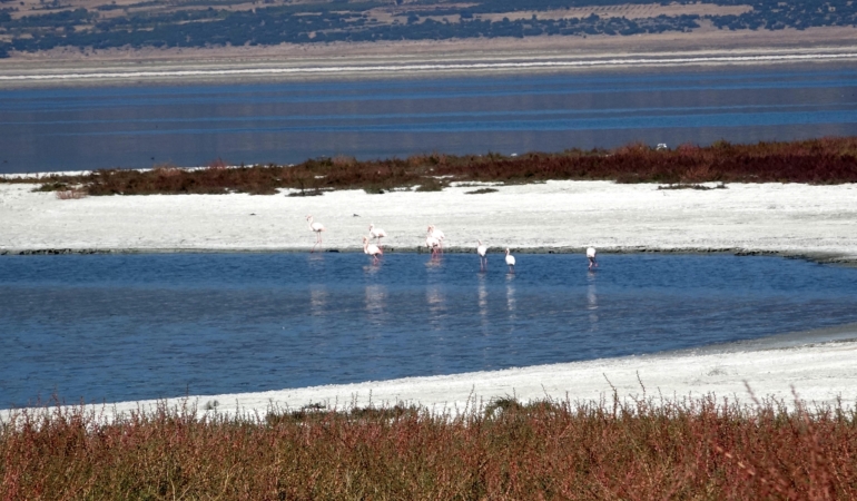 Prof. Dr. Gülle: Bundan sonra bütün göller küçülme trendinde