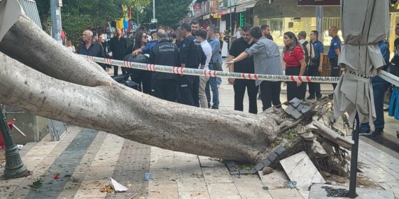 Antalya’da ağaç 5 otomobilin üzerine devrlidi Antalya’da ağaç 5 otomobilin üzerine devrlidi