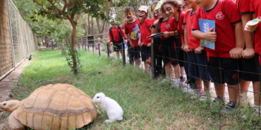 Çocuklar Güvercinleri Özgürlüğe Uğurladı!