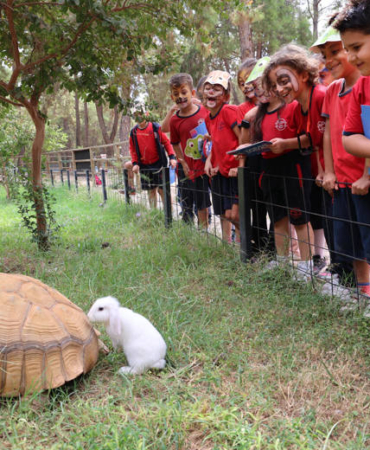 Çocuklar Güvercinleri Özgürlüğe Uğurladı!