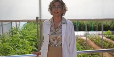 Ruhsal hastalıklarla ‘toplum temelli’ mücadele; birlikte üretip paylaşıyorlar