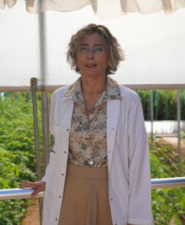 Ruhsal hastalıklarla ‘toplum temelli’ mücadele; birlikte üretip paylaşıyorlar