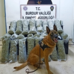 Uyuşturucu operasyonuna 3 tutuklama