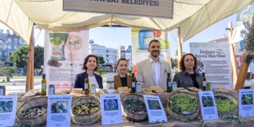 Zeytin ve Zeytinyağı Festivali kortejle başladı