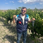 Karacalar üzümüne coğrafi işaret