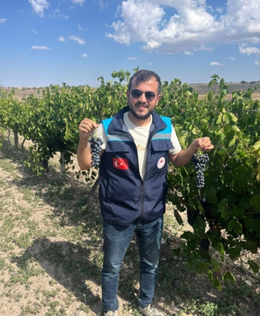 Karacalar üzümüne coğrafi işaret