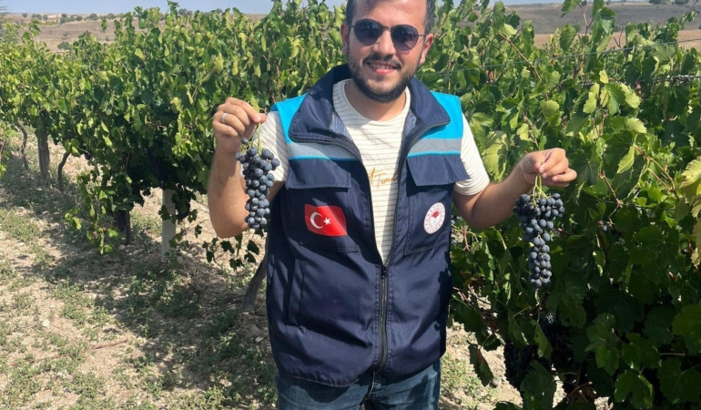 Karacalar üzümüne coğrafi işaret