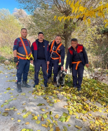 Kayalıklarda mahsur kalan keçi kurtarıldı