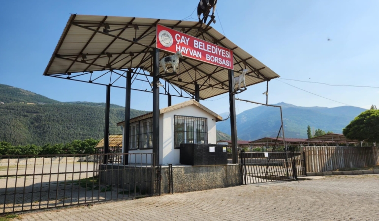 Çay hayvan borsası açıldı