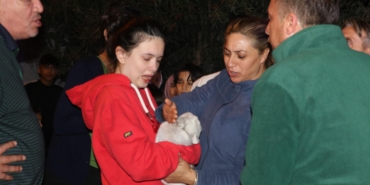 Yangında 2 kedi öldü, ev sahipleri sinir krizi geçirdi