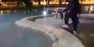 Sokak kedisini defalarca süs havuzuna attılar