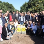 Haberciler portakal memleketinde