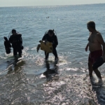 Deniz dibinde balık ağlarına takılı yaralı caretta caretta kurtarıldı