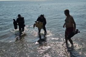 Deniz dibinde balık ağlarına takılı yaralı caretta caretta kurtarıldı