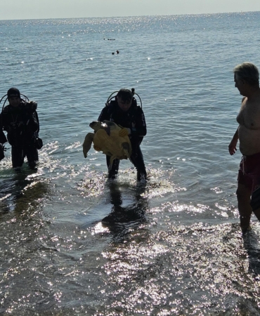 Deniz dibinde balık ağlarına takılı yaralı caretta caretta kurtarıldı