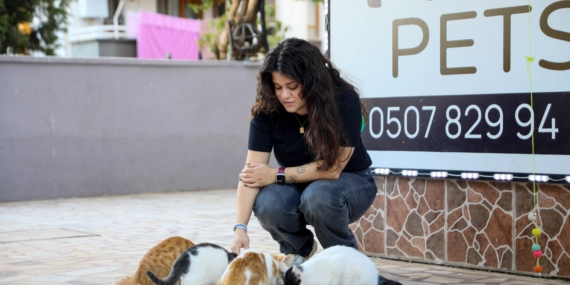 Kedinin bastonla vurularak öldürüldüğü iddiasıyla şikayetçi oldu