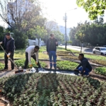 Trafik Parkı çiçek bahçesine dönüştü
