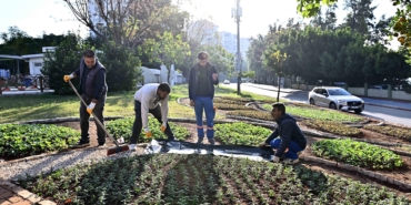 Trafik Parkı çiçek bahçesine dönüştü