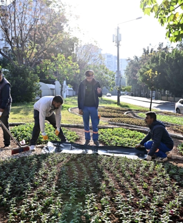 Trafik Parkı çiçek bahçesine dönüştü