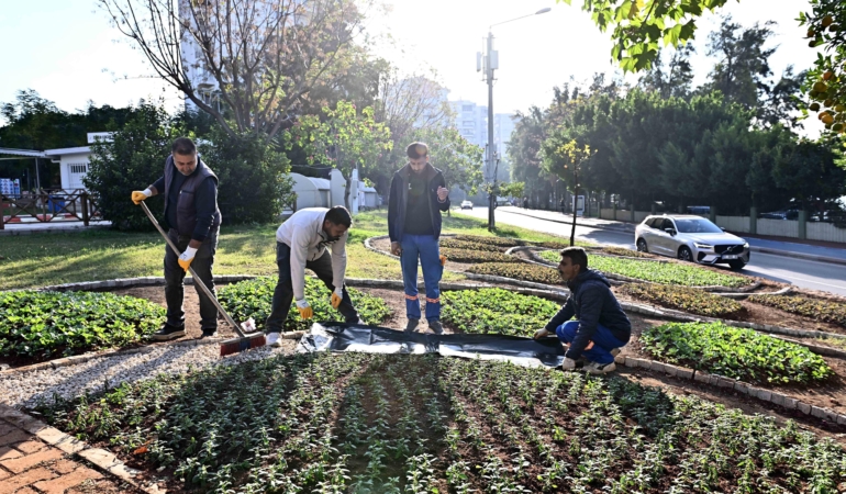 Trafik Parkı çiçek bahçesine dönüştü