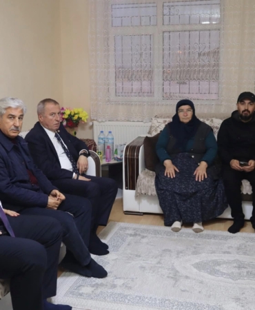 Böcek ailesine taziye